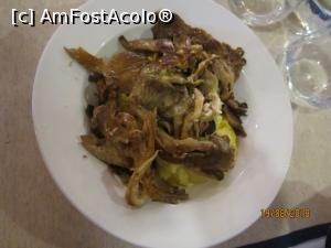[P17] Ciuperci pleurotus cu mamaliguta » foto by Storia
 - 
<span class="allrVoted glyphicon glyphicon-heart hidden" id="av1002338"></span>
<a class="m-l-10 hidden" id="sv1002338" onclick="voting_Foto_DelVot(,1002338,4690)" role="button">șterge vot <span class="glyphicon glyphicon-remove"></span></a>
<a id="v91002338" class=" c-red"  onclick="voting_Foto_SetVot(1002338)" role="button"><span class="glyphicon glyphicon-heart-empty"></span> <b>LIKE</b> = Votează poza</a> <img class="hidden"  id="f1002338W9" src="/imagini/loader.gif" border="0" /><span class="AjErrMes hidden" id="e1002338ErM"></span>