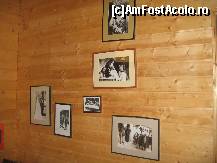 [P17] Poze cu regii nostri care au trecut pe aici....unde eram noi. » foto by mirelutza
 - 
<span class="allrVoted glyphicon glyphicon-heart hidden" id="av165740"></span>
<a class="m-l-10 hidden" id="sv165740" onclick="voting_Foto_DelVot(,165740,4690)" role="button">șterge vot <span class="glyphicon glyphicon-remove"></span></a>
<a id="v9165740" class=" c-red"  onclick="voting_Foto_SetVot(165740)" role="button"><span class="glyphicon glyphicon-heart-empty"></span> <b>LIKE</b> = Votează poza</a> <img class="hidden"  id="f165740W9" src="/imagini/loader.gif" border="0" /><span class="AjErrMes hidden" id="e165740ErM"></span>