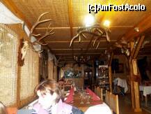 [P12] Ospatarita de la bar, care nu ne-a bagat in seama dupa ce am chemat-o » foto by pepsi70ro
 - 
<span class="allrVoted glyphicon glyphicon-heart hidden" id="av199878"></span>
<a class="m-l-10 hidden" id="sv199878" onclick="voting_Foto_DelVot(,199878,4690)" role="button">șterge vot <span class="glyphicon glyphicon-remove"></span></a>
<a id="v9199878" class=" c-red"  onclick="voting_Foto_SetVot(199878)" role="button"><span class="glyphicon glyphicon-heart-empty"></span> <b>LIKE</b> = Votează poza</a> <img class="hidden"  id="f199878W9" src="/imagini/loader.gif" border="0" /><span class="AjErrMes hidden" id="e199878ErM"></span>