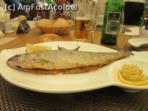 [P11] Un pastrav delicios » foto by Michi
 - 
<span class="allrVoted glyphicon glyphicon-heart hidden" id="av889663"></span>
<a class="m-l-10 hidden" id="sv889663" onclick="voting_Foto_DelVot(,889663,4690)" role="button">șterge vot <span class="glyphicon glyphicon-remove"></span></a>
<a id="v9889663" class=" c-red"  onclick="voting_Foto_SetVot(889663)" role="button"><span class="glyphicon glyphicon-heart-empty"></span> <b>LIKE</b> = Votează poza</a> <img class="hidden"  id="f889663W9" src="/imagini/loader.gif" border="0" /><span class="AjErrMes hidden" id="e889663ErM"></span>