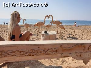 [P15] Side - plaja în zona estică » foto by Alina Roxana
 - 
<span class="allrVoted glyphicon glyphicon-heart hidden" id="av1144536"></span>
<a class="m-l-10 hidden" id="sv1144536" onclick="voting_Foto_DelVot(,1144536,4692)" role="button">șterge vot <span class="glyphicon glyphicon-remove"></span></a>
<a id="v91144536" class=" c-red"  onclick="voting_Foto_SetVot(1144536)" role="button"><span class="glyphicon glyphicon-heart-empty"></span> <b>LIKE</b> = Votează poza</a> <img class="hidden"  id="f1144536W9" src="/imagini/loader.gif" border="0" /><span class="AjErrMes hidden" id="e1144536ErM"></span>