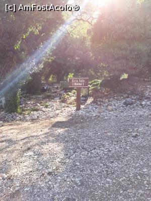 [P07] spre un obiectiv care devia de la traseu » foto by adrianbogdan
 - 
<span class="allrVoted glyphicon glyphicon-heart hidden" id="av1057685"></span>
<a class="m-l-10 hidden" id="sv1057685" onclick="voting_Foto_DelVot(,1057685,4692)" role="button">șterge vot <span class="glyphicon glyphicon-remove"></span></a>
<a id="v91057685" class=" c-red"  onclick="voting_Foto_SetVot(1057685)" role="button"><span class="glyphicon glyphicon-heart-empty"></span> <b>LIKE</b> = Votează poza</a> <img class="hidden"  id="f1057685W9" src="/imagini/loader.gif" border="0" /><span class="AjErrMes hidden" id="e1057685ErM"></span>