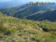 [P19] Saua Tigailor si Culmea Bratocea, adica zona pe unde am venit » foto by Claudiu U.
 - 
<span class="allrVoted glyphicon glyphicon-heart hidden" id="av261930"></span>
<a class="m-l-10 hidden" id="sv261930" onclick="voting_Foto_DelVot(,261930,4696)" role="button">șterge vot <span class="glyphicon glyphicon-remove"></span></a>
<a id="v9261930" class=" c-red"  onclick="voting_Foto_SetVot(261930)" role="button"><span class="glyphicon glyphicon-heart-empty"></span> <b>LIKE</b> = Votează poza</a> <img class="hidden"  id="f261930W9" src="/imagini/loader.gif" border="0" /><span class="AjErrMes hidden" id="e261930ErM"></span>