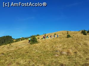[P15] Am ieșit în golul alpin. Nu am fost singuri pe acest traseu.  » foto by Floryn81
 - 
<span class="allrVoted glyphicon glyphicon-heart hidden" id="av1121422"></span>
<a class="m-l-10 hidden" id="sv1121422" onclick="voting_Foto_DelVot(,1121422,4696)" role="button">șterge vot <span class="glyphicon glyphicon-remove"></span></a>
<a id="v91121422" class=" c-red"  onclick="voting_Foto_SetVot(1121422)" role="button"><span class="glyphicon glyphicon-heart-empty"></span> <b>LIKE</b> = Votează poza</a> <img class="hidden"  id="f1121422W9" src="/imagini/loader.gif" border="0" /><span class="AjErrMes hidden" id="e1121422ErM"></span>