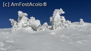 [P22] Munții Ciucaș - de la Bratocea pe Vârful Ciucaș » foto by Mika
 - 
<span class="allrVoted glyphicon glyphicon-heart hidden" id="av1516096"></span>
<a class="m-l-10 hidden" id="sv1516096" onclick="voting_Foto_DelVot(,1516096,4696)" role="button">șterge vot <span class="glyphicon glyphicon-remove"></span></a>
<a id="v91516096" class=" c-red"  onclick="voting_Foto_SetVot(1516096)" role="button"><span class="glyphicon glyphicon-heart-empty"></span> <b>LIKE</b> = Votează poza</a> <img class="hidden"  id="f1516096W9" src="/imagini/loader.gif" border="0" /><span class="AjErrMes hidden" id="e1516096ErM"></span>