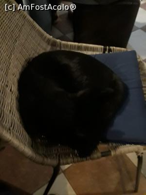 [P22] Una neagra tolanita - nu stiai unde este capul si unde coada...  » foto by vulpe mihaela
 - 
<span class="allrVoted glyphicon glyphicon-heart hidden" id="av1145574"></span>
<a class="m-l-10 hidden" id="sv1145574" onclick="voting_Foto_DelVot(,1145574,4715)" role="button">șterge vot <span class="glyphicon glyphicon-remove"></span></a>
<a id="v91145574" class=" c-red"  onclick="voting_Foto_SetVot(1145574)" role="button"><span class="glyphicon glyphicon-heart-empty"></span> <b>LIKE</b> = Votează poza</a> <img class="hidden"  id="f1145574W9" src="/imagini/loader.gif" border="0" /><span class="AjErrMes hidden" id="e1145574ErM"></span>