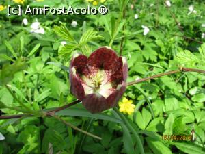 [P07]  -- <small>// FĂRĂ DESCRIERE</small> » foto by CATAAS
 - 
<span class="allrVoted glyphicon glyphicon-heart hidden" id="av958584"></span>
<a class="m-l-10 hidden" id="sv958584" onclick="voting_Foto_DelVot(,958584,4721)" role="button">șterge vot <span class="glyphicon glyphicon-remove"></span></a>
<a id="v9958584" class=" c-red"  onclick="voting_Foto_SetVot(958584)" role="button"><span class="glyphicon glyphicon-heart-empty"></span> <b>LIKE</b> = Votează poza</a> <img class="hidden"  id="f958584W9" src="/imagini/loader.gif" border="0" /><span class="AjErrMes hidden" id="e958584ErM"></span>