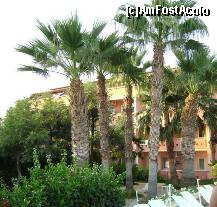 [P20]  -- <small>// FĂRĂ DESCRIERE</small> » foto by Simonaaa*
 - 
<span class="allrVoted glyphicon glyphicon-heart hidden" id="av238098"></span>
<a class="m-l-10 hidden" id="sv238098" onclick="voting_Foto_DelVot(,238098,4724)" role="button">șterge vot <span class="glyphicon glyphicon-remove"></span></a>
<a id="v9238098" class=" c-red"  onclick="voting_Foto_SetVot(238098)" role="button"><span class="glyphicon glyphicon-heart-empty"></span> <b>LIKE</b> = Votează poza</a> <img class="hidden"  id="f238098W9" src="/imagini/loader.gif" border="0" /><span class="AjErrMes hidden" id="e238098ErM"></span>