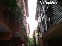 [P24] Printre alei » foto by Simonaaa*
 - 
<span class="allrVoted glyphicon glyphicon-heart hidden" id="av238102"></span>
<a class="m-l-10 hidden" id="sv238102" onclick="voting_Foto_DelVot(,238102,4724)" role="button">șterge vot <span class="glyphicon glyphicon-remove"></span></a>
<a id="v9238102" class=" c-red"  onclick="voting_Foto_SetVot(238102)" role="button"><span class="glyphicon glyphicon-heart-empty"></span> <b>LIKE</b> = Votează poza</a> <img class="hidden"  id="f238102W9" src="/imagini/loader.gif" border="0" /><span class="AjErrMes hidden" id="e238102ErM"></span>