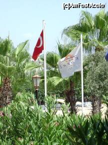 [P28]  -- <small>// FĂRĂ DESCRIERE</small> » foto by Simonaaa*
 - 
<span class="allrVoted glyphicon glyphicon-heart hidden" id="av238106"></span>
<a class="m-l-10 hidden" id="sv238106" onclick="voting_Foto_DelVot(,238106,4724)" role="button">șterge vot <span class="glyphicon glyphicon-remove"></span></a>
<a id="v9238106" class=" c-red"  onclick="voting_Foto_SetVot(238106)" role="button"><span class="glyphicon glyphicon-heart-empty"></span> <b>LIKE</b> = Votează poza</a> <img class="hidden"  id="f238106W9" src="/imagini/loader.gif" border="0" /><span class="AjErrMes hidden" id="e238106ErM"></span>