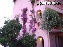 [P30]  -- <small>// FĂRĂ DESCRIERE</small> » foto by Simonaaa*
 - 
<span class="allrVoted glyphicon glyphicon-heart hidden" id="av238108"></span>
<a class="m-l-10 hidden" id="sv238108" onclick="voting_Foto_DelVot(,238108,4724)" role="button">șterge vot <span class="glyphicon glyphicon-remove"></span></a>
<a id="v9238108" class=" c-red"  onclick="voting_Foto_SetVot(238108)" role="button"><span class="glyphicon glyphicon-heart-empty"></span> <b>LIKE</b> = Votează poza</a> <img class="hidden"  id="f238108W9" src="/imagini/loader.gif" border="0" /><span class="AjErrMes hidden" id="e238108ErM"></span>