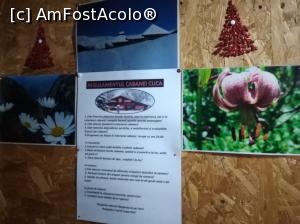 [P02] Pe pereți, la o cafea, Cuca, Iezer Păpușa » foto by Mioritik
 - 
<span class="allrVoted glyphicon glyphicon-heart hidden" id="av1229448"></span>
<a class="m-l-10 hidden" id="sv1229448" onclick="voting_Foto_DelVot(,1229448,4725)" role="button">șterge vot <span class="glyphicon glyphicon-remove"></span></a>
<a id="v91229448" class=" c-red"  onclick="voting_Foto_SetVot(1229448)" role="button"><span class="glyphicon glyphicon-heart-empty"></span> <b>LIKE</b> = Votează poza</a> <img class="hidden"  id="f1229448W9" src="/imagini/loader.gif" border="0" /><span class="AjErrMes hidden" id="e1229448ErM"></span>