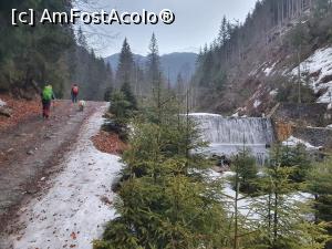 [P01] De la cabana Voina la Cuca, pe un drum forestier » foto by Mika
 - 
<span class="allrVoted glyphicon glyphicon-heart hidden" id="av1220759"></span>
<a class="m-l-10 hidden" id="sv1220759" onclick="voting_Foto_DelVot(,1220759,4725)" role="button">șterge vot <span class="glyphicon glyphicon-remove"></span></a>
<a id="v91220759" class=" c-red"  onclick="voting_Foto_SetVot(1220759)" role="button"><span class="glyphicon glyphicon-heart-empty"></span> <b>LIKE</b> = Votează poza</a> <img class="hidden"  id="f1220759W9" src="/imagini/loader.gif" border="0" /><span class="AjErrMes hidden" id="e1220759ErM"></span>