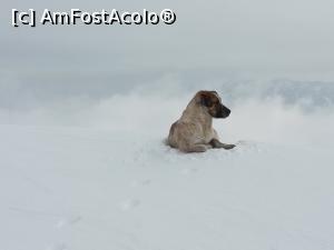 [P27] Cel mai bun ghid! » foto by Mika
 - 
<span class="allrVoted glyphicon glyphicon-heart hidden" id="av1220785"></span>
<a class="m-l-10 hidden" id="sv1220785" onclick="voting_Foto_DelVot(,1220785,4725)" role="button">șterge vot <span class="glyphicon glyphicon-remove"></span></a>
<a id="v91220785" class=" c-red"  onclick="voting_Foto_SetVot(1220785)" role="button"><span class="glyphicon glyphicon-heart-empty"></span> <b>LIKE</b> = Votează poza</a> <img class="hidden"  id="f1220785W9" src="/imagini/loader.gif" border="0" /><span class="AjErrMes hidden" id="e1220785ErM"></span>