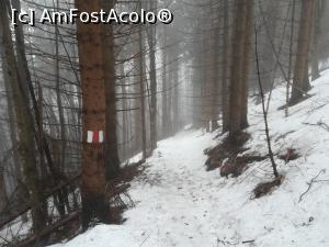 [P31] Spre Valea largă » foto by Mika
 - 
<span class="allrVoted glyphicon glyphicon-heart hidden" id="av1220789"></span>
<a class="m-l-10 hidden" id="sv1220789" onclick="voting_Foto_DelVot(,1220789,4725)" role="button">șterge vot <span class="glyphicon glyphicon-remove"></span></a>
<a id="v91220789" class=" c-red"  onclick="voting_Foto_SetVot(1220789)" role="button"><span class="glyphicon glyphicon-heart-empty"></span> <b>LIKE</b> = Votează poza</a> <img class="hidden"  id="f1220789W9" src="/imagini/loader.gif" border="0" /><span class="AjErrMes hidden" id="e1220789ErM"></span>