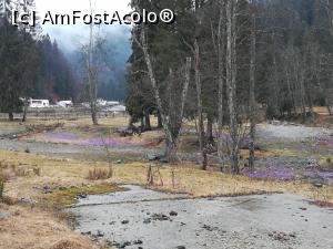 [P32] Poiana de br&acirc;ndușe din apropiere de Cabana Voina » foto by Mika
 - 
<span class="allrVoted glyphicon glyphicon-heart hidden" id="av1220790"></span>
<a class="m-l-10 hidden" id="sv1220790" onclick="voting_Foto_DelVot(,1220790,4725)" role="button">șterge vot <span class="glyphicon glyphicon-remove"></span></a>
<a id="v91220790" class=" c-red"  onclick="voting_Foto_SetVot(1220790)" role="button"><span class="glyphicon glyphicon-heart-empty"></span> <b>LIKE</b> = Votează poza</a> <img class="hidden"  id="f1220790W9" src="/imagini/loader.gif" border="0" /><span class="AjErrMes hidden" id="e1220790ErM"></span>