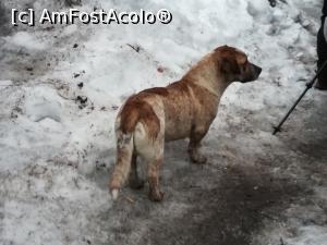 [P33] El a fost insoțitorul nostru » foto by Mika
 - 
<span class="allrVoted glyphicon glyphicon-heart hidden" id="av1220791"></span>
<a class="m-l-10 hidden" id="sv1220791" onclick="voting_Foto_DelVot(,1220791,4725)" role="button">șterge vot <span class="glyphicon glyphicon-remove"></span></a>
<a id="v91220791" class=" c-red"  onclick="voting_Foto_SetVot(1220791)" role="button"><span class="glyphicon glyphicon-heart-empty"></span> <b>LIKE</b> = Votează poza</a> <img class="hidden"  id="f1220791W9" src="/imagini/loader.gif" border="0" /><span class="AjErrMes hidden" id="e1220791ErM"></span>