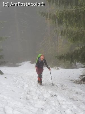 [P07] Hai, ca am scăpat de urcușul prin pădure! » foto by Mika
 - 
<span class="allrVoted glyphicon glyphicon-heart hidden" id="av1220765"></span>
<a class="m-l-10 hidden" id="sv1220765" onclick="voting_Foto_DelVot(,1220765,4725)" role="button">șterge vot <span class="glyphicon glyphicon-remove"></span></a>
<a id="v91220765" class=" c-red"  onclick="voting_Foto_SetVot(1220765)" role="button"><span class="glyphicon glyphicon-heart-empty"></span> <b>LIKE</b> = Votează poza</a> <img class="hidden"  id="f1220765W9" src="/imagini/loader.gif" border="0" /><span class="AjErrMes hidden" id="e1220765ErM"></span>