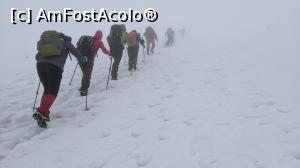 [P08] Am inceput urcușul prin golul alpin » foto by Mika
 - 
<span class="allrVoted glyphicon glyphicon-heart hidden" id="av1220766"></span>
<a class="m-l-10 hidden" id="sv1220766" onclick="voting_Foto_DelVot(,1220766,4725)" role="button">șterge vot <span class="glyphicon glyphicon-remove"></span></a>
<a id="v91220766" class=" c-red"  onclick="voting_Foto_SetVot(1220766)" role="button"><span class="glyphicon glyphicon-heart-empty"></span> <b>LIKE</b> = Votează poza</a> <img class="hidden"  id="f1220766W9" src="/imagini/loader.gif" border="0" /><span class="AjErrMes hidden" id="e1220766ErM"></span>