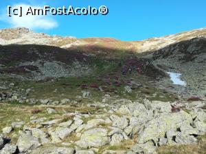 [P11] Ziua a doua - incepem urcușul spre creastă » foto by Mika
 - 
<span class="allrVoted glyphicon glyphicon-heart hidden" id="av1237766"></span>
<a class="m-l-10 hidden" id="sv1237766" onclick="voting_Foto_DelVot(,1237766,4725)" role="button">șterge vot <span class="glyphicon glyphicon-remove"></span></a>
<a id="v91237766" class=" c-red"  onclick="voting_Foto_SetVot(1237766)" role="button"><span class="glyphicon glyphicon-heart-empty"></span> <b>LIKE</b> = Votează poza</a> <img class="hidden"  id="f1237766W9" src="/imagini/loader.gif" border="0" /><span class="AjErrMes hidden" id="e1237766ErM"></span>