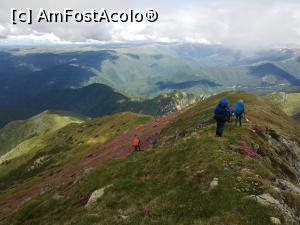 [P16] Continuam pe creastă. Situația e roz » foto by Mika
 - 
<span class="allrVoted glyphicon glyphicon-heart hidden" id="av1237771"></span>
<a class="m-l-10 hidden" id="sv1237771" onclick="voting_Foto_DelVot(,1237771,4725)" role="button">șterge vot <span class="glyphicon glyphicon-remove"></span></a>
<a id="v91237771" class=" c-red"  onclick="voting_Foto_SetVot(1237771)" role="button"><span class="glyphicon glyphicon-heart-empty"></span> <b>LIKE</b> = Votează poza</a> <img class="hidden"  id="f1237771W9" src="/imagini/loader.gif" border="0" /><span class="AjErrMes hidden" id="e1237771ErM"></span>