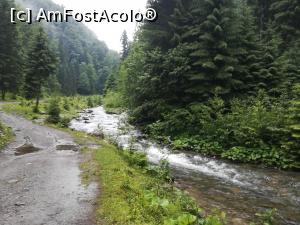 [P02] De la Cabana Voina p&acirc;nă la intrarea pe marcajul bulină albastră, mergem pe un drum forestier » foto by Mika
 - 
<span class="allrVoted glyphicon glyphicon-heart hidden" id="av1237757"></span>
<a class="m-l-10 hidden" id="sv1237757" onclick="voting_Foto_DelVot(,1237757,4725)" role="button">șterge vot <span class="glyphicon glyphicon-remove"></span></a>
<a id="v91237757" class=" c-red"  onclick="voting_Foto_SetVot(1237757)" role="button"><span class="glyphicon glyphicon-heart-empty"></span> <b>LIKE</b> = Votează poza</a> <img class="hidden"  id="f1237757W9" src="/imagini/loader.gif" border="0" /><span class="AjErrMes hidden" id="e1237757ErM"></span>