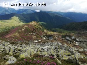 [P21] Lacurile Boarcășului » foto by Mika
 - 
<span class="allrVoted glyphicon glyphicon-heart hidden" id="av1237776"></span>
<a class="m-l-10 hidden" id="sv1237776" onclick="voting_Foto_DelVot(,1237776,4725)" role="button">șterge vot <span class="glyphicon glyphicon-remove"></span></a>
<a id="v91237776" class=" c-red"  onclick="voting_Foto_SetVot(1237776)" role="button"><span class="glyphicon glyphicon-heart-empty"></span> <b>LIKE</b> = Votează poza</a> <img class="hidden"  id="f1237776W9" src="/imagini/loader.gif" border="0" /><span class="AjErrMes hidden" id="e1237776ErM"></span>