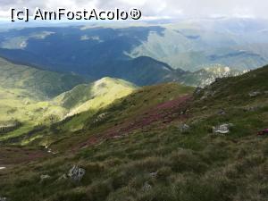 [P28] Marea Traversare din Iezer in Făgăraș » foto by Mika
 - 
<span class="allrVoted glyphicon glyphicon-heart hidden" id="av1237783"></span>
<a class="m-l-10 hidden" id="sv1237783" onclick="voting_Foto_DelVot(,1237783,4725)" role="button">șterge vot <span class="glyphicon glyphicon-remove"></span></a>
<a id="v91237783" class=" c-red"  onclick="voting_Foto_SetVot(1237783)" role="button"><span class="glyphicon glyphicon-heart-empty"></span> <b>LIKE</b> = Votează poza</a> <img class="hidden"  id="f1237783W9" src="/imagini/loader.gif" border="0" /><span class="AjErrMes hidden" id="e1237783ErM"></span>