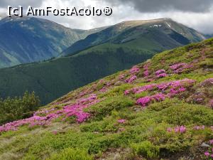 [P33] Marea Traversare din Iezer in Făgăraș » foto by Mika
 - 
<span class="allrVoted glyphicon glyphicon-heart hidden" id="av1237788"></span>
<a class="m-l-10 hidden" id="sv1237788" onclick="voting_Foto_DelVot(,1237788,4725)" role="button">șterge vot <span class="glyphicon glyphicon-remove"></span></a>
<a id="v91237788" class=" c-red"  onclick="voting_Foto_SetVot(1237788)" role="button"><span class="glyphicon glyphicon-heart-empty"></span> <b>LIKE</b> = Votează poza</a> <img class="hidden"  id="f1237788W9" src="/imagini/loader.gif" border="0" /><span class="AjErrMes hidden" id="e1237788ErM"></span>