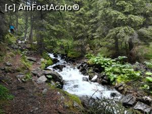 [P05] Spre Refugiul Iezer » foto by Mika
 - 
<span class="allrVoted glyphicon glyphicon-heart hidden" id="av1237760"></span>
<a class="m-l-10 hidden" id="sv1237760" onclick="voting_Foto_DelVot(,1237760,4725)" role="button">șterge vot <span class="glyphicon glyphicon-remove"></span></a>
<a id="v91237760" class=" c-red"  onclick="voting_Foto_SetVot(1237760)" role="button"><span class="glyphicon glyphicon-heart-empty"></span> <b>LIKE</b> = Votează poza</a> <img class="hidden"  id="f1237760W9" src="/imagini/loader.gif" border="0" /><span class="AjErrMes hidden" id="e1237760ErM"></span>