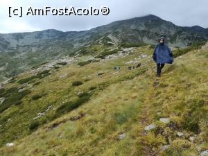 [P13] Am lăsat in spate Vârful Iezerul Mare și am pornit pe Piciorul Iezerului spre Voina » foto by Mika
 - 
<span class="allrVoted glyphicon glyphicon-heart hidden" id="av1116341"></span>
<a class="m-l-10 hidden" id="sv1116341" onclick="voting_Foto_DelVot(,1116341,4725)" role="button">șterge vot <span class="glyphicon glyphicon-remove"></span></a>
<a id="v91116341" class=" c-red"  onclick="voting_Foto_SetVot(1116341)" role="button"><span class="glyphicon glyphicon-heart-empty"></span> <b>LIKE</b> = Votează poza</a> <img class="hidden"  id="f1116341W9" src="/imagini/loader.gif" border="0" /><span class="AjErrMes hidden" id="e1116341ErM"></span>