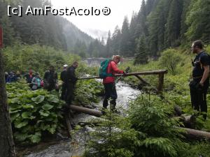 [P24] Trecere peste pârâul Iezerul Mic » foto by Mika
 - 
<span class="allrVoted glyphicon glyphicon-heart hidden" id="av1116352"></span>
<a class="m-l-10 hidden" id="sv1116352" onclick="voting_Foto_DelVot(,1116352,4725)" role="button">șterge vot <span class="glyphicon glyphicon-remove"></span></a>
<a id="v91116352" class=" c-red"  onclick="voting_Foto_SetVot(1116352)" role="button"><span class="glyphicon glyphicon-heart-empty"></span> <b>LIKE</b> = Votează poza</a> <img class="hidden"  id="f1116352W9" src="/imagini/loader.gif" border="0" /><span class="AjErrMes hidden" id="e1116352ErM"></span>