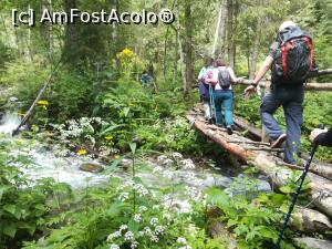 [P04] De aici incepe urcușul. După ce treci de podeț intri in pădure și pe urmă urci, și urci, până la 2165 m.  » foto by Mika
 - 
<span class="allrVoted glyphicon glyphicon-heart hidden" id="av1116332"></span>
<a class="m-l-10 hidden" id="sv1116332" onclick="voting_Foto_DelVot(,1116332,4725)" role="button">șterge vot <span class="glyphicon glyphicon-remove"></span></a>
<a id="v91116332" class=" c-red"  onclick="voting_Foto_SetVot(1116332)" role="button"><span class="glyphicon glyphicon-heart-empty"></span> <b>LIKE</b> = Votează poza</a> <img class="hidden"  id="f1116332W9" src="/imagini/loader.gif" border="0" /><span class="AjErrMes hidden" id="e1116332ErM"></span>