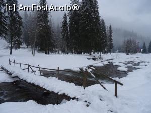 [P20] Podul peste râul Târgului - în fața Cabanei Voina.  » foto by tata123 🔱
 - 
<span class="allrVoted glyphicon glyphicon-heart hidden" id="av1052886"></span>
<a class="m-l-10 hidden" id="sv1052886" onclick="voting_Foto_DelVot(,1052886,4725)" role="button">șterge vot <span class="glyphicon glyphicon-remove"></span></a>
<a id="v91052886" class=" c-red"  onclick="voting_Foto_SetVot(1052886)" role="button"><span class="glyphicon glyphicon-heart-empty"></span> <b>LIKE</b> = Votează poza</a> <img class="hidden"  id="f1052886W9" src="/imagini/loader.gif" border="0" /><span class="AjErrMes hidden" id="e1052886ErM"></span>