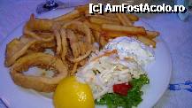 [P10] Calamari » foto by CristinaBr
 - 
<span class="allrVoted glyphicon glyphicon-heart hidden" id="av262263"></span>
<a class="m-l-10 hidden" id="sv262263" onclick="voting_Foto_DelVot(,262263,4735)" role="button">șterge vot <span class="glyphicon glyphicon-remove"></span></a>
<a id="v9262263" class=" c-red"  onclick="voting_Foto_SetVot(262263)" role="button"><span class="glyphicon glyphicon-heart-empty"></span> <b>LIKE</b> = Votează poza</a> <img class="hidden"  id="f262263W9" src="/imagini/loader.gif" border="0" /><span class="AjErrMes hidden" id="e262263ErM"></span>