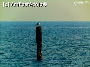 [P01] Un peisaj cu totul si cu totul deosebit » foto by GabrielaG
 - 
<span class="allrVoted glyphicon glyphicon-heart hidden" id="av741272"></span>
<a class="m-l-10 hidden" id="sv741272" onclick="voting_Foto_DelVot(,741272,4749)" role="button">șterge vot <span class="glyphicon glyphicon-remove"></span></a>
<a id="v9741272" class=" c-red"  onclick="voting_Foto_SetVot(741272)" role="button"><span class="glyphicon glyphicon-heart-empty"></span> <b>LIKE</b> = Votează poza</a> <img class="hidden"  id="f741272W9" src="/imagini/loader.gif" border="0" /><span class="AjErrMes hidden" id="e741272ErM"></span>