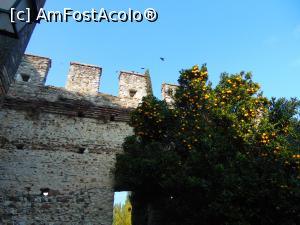 [P12] Cam asa arata vegetatia in noiembrie » foto by GabrielaG
 - 
<span class="allrVoted glyphicon glyphicon-heart hidden" id="av741283"></span>
<a class="m-l-10 hidden" id="sv741283" onclick="voting_Foto_DelVot(,741283,4749)" role="button">șterge vot <span class="glyphicon glyphicon-remove"></span></a>
<a id="v9741283" class=" c-red"  onclick="voting_Foto_SetVot(741283)" role="button"><span class="glyphicon glyphicon-heart-empty"></span> <b>LIKE</b> = Votează poza</a> <img class="hidden"  id="f741283W9" src="/imagini/loader.gif" border="0" /><span class="AjErrMes hidden" id="e741283ErM"></span>