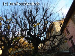 [P14] Un peisaj cu totul si cu totul deosebit » foto by GabrielaG
 - 
<span class="allrVoted glyphicon glyphicon-heart hidden" id="av741285"></span>
<a class="m-l-10 hidden" id="sv741285" onclick="voting_Foto_DelVot(,741285,4749)" role="button">șterge vot <span class="glyphicon glyphicon-remove"></span></a>
<a id="v9741285" class=" c-red"  onclick="voting_Foto_SetVot(741285)" role="button"><span class="glyphicon glyphicon-heart-empty"></span> <b>LIKE</b> = Votează poza</a> <img class="hidden"  id="f741285W9" src="/imagini/loader.gif" border="0" /><span class="AjErrMes hidden" id="e741285ErM"></span>
