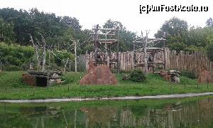[P48] Zoo Viva Natura » foto by Aurici
 - 
<span class="allrVoted glyphicon glyphicon-heart hidden" id="av673651"></span>
<a class="m-l-10 hidden" id="sv673651" onclick="voting_Foto_DelVot(,673651,4749)" role="button">șterge vot <span class="glyphicon glyphicon-remove"></span></a>
<a id="v9673651" class=" c-red"  onclick="voting_Foto_SetVot(673651)" role="button"><span class="glyphicon glyphicon-heart-empty"></span> <b>LIKE</b> = Votează poza</a> <img class="hidden"  id="f673651W9" src="/imagini/loader.gif" border="0" /><span class="AjErrMes hidden" id="e673651ErM"></span>