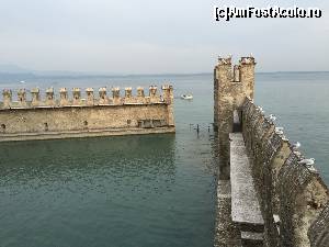 [P05] Castelul din Sirmione - ziduri exterioare » foto by Aurici
 - 
<span class="allrVoted glyphicon glyphicon-heart hidden" id="av673607"></span>
<a class="m-l-10 hidden" id="sv673607" onclick="voting_Foto_DelVot(,673607,4749)" role="button">șterge vot <span class="glyphicon glyphicon-remove"></span></a>
<a id="v9673607" class=" c-red"  onclick="voting_Foto_SetVot(673607)" role="button"><span class="glyphicon glyphicon-heart-empty"></span> <b>LIKE</b> = Votează poza</a> <img class="hidden"  id="f673607W9" src="/imagini/loader.gif" border="0" /><span class="AjErrMes hidden" id="e673607ErM"></span>