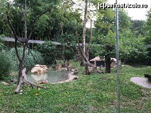[P50] Zoo Viva Natura » foto by Aurici
 - 
<span class="allrVoted glyphicon glyphicon-heart hidden" id="av673653"></span>
<a class="m-l-10 hidden" id="sv673653" onclick="voting_Foto_DelVot(,673653,4749)" role="button">șterge vot <span class="glyphicon glyphicon-remove"></span></a>
<a id="v9673653" class=" c-red"  onclick="voting_Foto_SetVot(673653)" role="button"><span class="glyphicon glyphicon-heart-empty"></span> <b>LIKE</b> = Votează poza</a> <img class="hidden"  id="f673653W9" src="/imagini/loader.gif" border="0" /><span class="AjErrMes hidden" id="e673653ErM"></span>