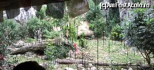 [P56] Zoo Viva Natura » foto by Aurici
 - 
<span class="allrVoted glyphicon glyphicon-heart hidden" id="av673659"></span>
<a class="m-l-10 hidden" id="sv673659" onclick="voting_Foto_DelVot(,673659,4749)" role="button">șterge vot <span class="glyphicon glyphicon-remove"></span></a>
<a id="v9673659" class=" c-red"  onclick="voting_Foto_SetVot(673659)" role="button"><span class="glyphicon glyphicon-heart-empty"></span> <b>LIKE</b> = Votează poza</a> <img class="hidden"  id="f673659W9" src="/imagini/loader.gif" border="0" /><span class="AjErrMes hidden" id="e673659ErM"></span>