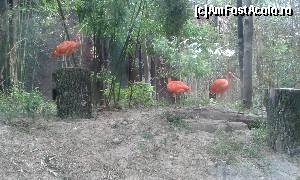 [P57] Zoo Viva Natura » foto by Aurici
 - 
<span class="allrVoted glyphicon glyphicon-heart hidden" id="av673660"></span>
<a class="m-l-10 hidden" id="sv673660" onclick="voting_Foto_DelVot(,673660,4749)" role="button">șterge vot <span class="glyphicon glyphicon-remove"></span></a>
<a id="v9673660" class=" c-red"  onclick="voting_Foto_SetVot(673660)" role="button"><span class="glyphicon glyphicon-heart-empty"></span> <b>LIKE</b> = Votează poza</a> <img class="hidden"  id="f673660W9" src="/imagini/loader.gif" border="0" /><span class="AjErrMes hidden" id="e673660ErM"></span>