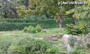 [P61] Safari Park » foto by Aurici
 - 
<span class="allrVoted glyphicon glyphicon-heart hidden" id="av673664"></span>
<a class="m-l-10 hidden" id="sv673664" onclick="voting_Foto_DelVot(,673664,4749)" role="button">șterge vot <span class="glyphicon glyphicon-remove"></span></a>
<a id="v9673664" class=" c-red"  onclick="voting_Foto_SetVot(673664)" role="button"><span class="glyphicon glyphicon-heart-empty"></span> <b>LIKE</b> = Votează poza</a> <img class="hidden"  id="f673664W9" src="/imagini/loader.gif" border="0" /><span class="AjErrMes hidden" id="e673664ErM"></span>