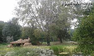 [P62] Safari Park » foto by Aurici
 - 
<span class="allrVoted glyphicon glyphicon-heart hidden" id="av673665"></span>
<a class="m-l-10 hidden" id="sv673665" onclick="voting_Foto_DelVot(,673665,4749)" role="button">șterge vot <span class="glyphicon glyphicon-remove"></span></a>
<a id="v9673665" class=" c-red"  onclick="voting_Foto_SetVot(673665)" role="button"><span class="glyphicon glyphicon-heart-empty"></span> <b>LIKE</b> = Votează poza</a> <img class="hidden"  id="f673665W9" src="/imagini/loader.gif" border="0" /><span class="AjErrMes hidden" id="e673665ErM"></span>