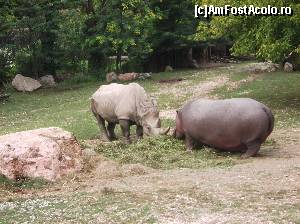 [P67] Safari Park » foto by Aurici
 - 
<span class="allrVoted glyphicon glyphicon-heart hidden" id="av673670"></span>
<a class="m-l-10 hidden" id="sv673670" onclick="voting_Foto_DelVot(,673670,4749)" role="button">șterge vot <span class="glyphicon glyphicon-remove"></span></a>
<a id="v9673670" class=" c-red"  onclick="voting_Foto_SetVot(673670)" role="button"><span class="glyphicon glyphicon-heart-empty"></span> <b>LIKE</b> = Votează poza</a> <img class="hidden"  id="f673670W9" src="/imagini/loader.gif" border="0" /><span class="AjErrMes hidden" id="e673670ErM"></span>