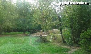 [P68] Safari Park » foto by Aurici
 - 
<span class="allrVoted glyphicon glyphicon-heart hidden" id="av673671"></span>
<a class="m-l-10 hidden" id="sv673671" onclick="voting_Foto_DelVot(,673671,4749)" role="button">șterge vot <span class="glyphicon glyphicon-remove"></span></a>
<a id="v9673671" class=" c-red"  onclick="voting_Foto_SetVot(673671)" role="button"><span class="glyphicon glyphicon-heart-empty"></span> <b>LIKE</b> = Votează poza</a> <img class="hidden"  id="f673671W9" src="/imagini/loader.gif" border="0" /><span class="AjErrMes hidden" id="e673671ErM"></span>