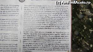 [P25]  -- <small>// FĂRĂ DESCRIERE</small> » foto by clau70
 - 
<span class="allrVoted glyphicon glyphicon-heart hidden" id="av586240"></span>
<a class="m-l-10 hidden" id="sv586240" onclick="voting_Foto_DelVot(,586240,4749)" role="button">șterge vot <span class="glyphicon glyphicon-remove"></span></a>
<a id="v9586240" class=" c-red"  onclick="voting_Foto_SetVot(586240)" role="button"><span class="glyphicon glyphicon-heart-empty"></span> <b>LIKE</b> = Votează poza</a> <img class="hidden"  id="f586240W9" src="/imagini/loader.gif" border="0" /><span class="AjErrMes hidden" id="e586240ErM"></span>