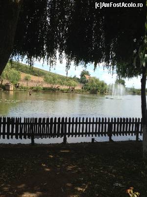 [P01]  -- <small>// FĂRĂ DESCRIERE</small> » foto by MADAHON
 - 
<span class="allrVoted glyphicon glyphicon-heart hidden" id="av646485"></span>
<a class="m-l-10 hidden" id="sv646485" onclick="voting_Foto_DelVot(,646485,4761)" role="button">șterge vot <span class="glyphicon glyphicon-remove"></span></a>
<a id="v9646485" class=" c-red"  onclick="voting_Foto_SetVot(646485)" role="button"><span class="glyphicon glyphicon-heart-empty"></span> <b>LIKE</b> = Votează poza</a> <img class="hidden"  id="f646485W9" src="/imagini/loader.gif" border="0" /><span class="AjErrMes hidden" id="e646485ErM"></span>