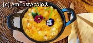 [P10] A sosit si meniul meu preferat "Five Cheese", ornat cu panselute » foto by dorgo
 - 
<span class="allrVoted glyphicon glyphicon-heart hidden" id="av1267437"></span>
<a class="m-l-10 hidden" id="sv1267437" onclick="voting_Foto_DelVot(,1267437,4761)" role="button">șterge vot <span class="glyphicon glyphicon-remove"></span></a>
<a id="v91267437" class=" c-red"  onclick="voting_Foto_SetVot(1267437)" role="button"><span class="glyphicon glyphicon-heart-empty"></span> <b>LIKE</b> = Votează poza</a> <img class="hidden"  id="f1267437W9" src="/imagini/loader.gif" border="0" /><span class="AjErrMes hidden" id="e1267437ErM"></span>
